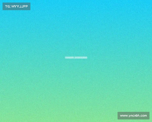 南美自由杯赛事,南美自由杯赛事有哪些